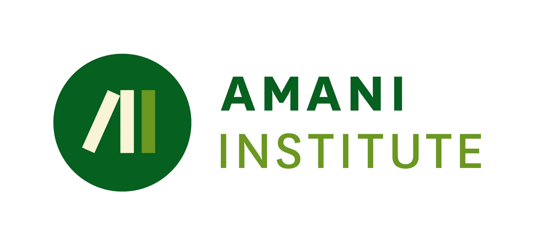 Amani Institute